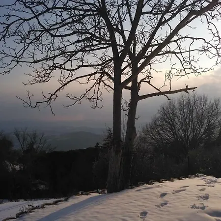 Umbria Vista Trasimeno Hotel